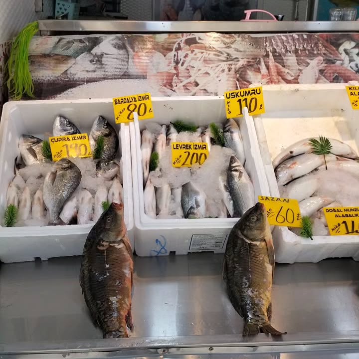 Munzur Balıkçısı 